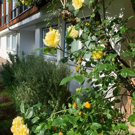 Apartment Am Krippenhof *