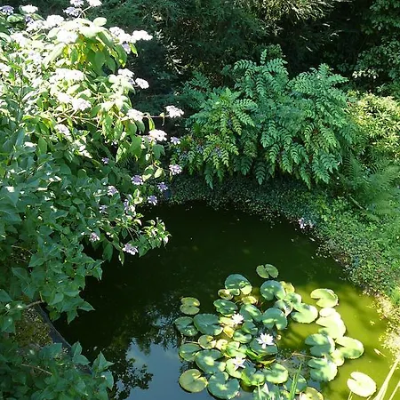 Am Krippenhof Apartment *