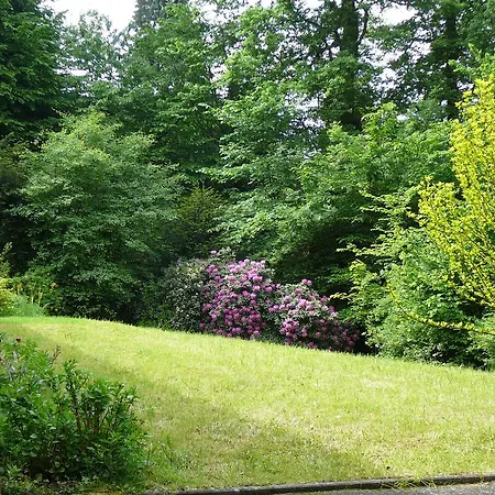 Apartment Am Krippenhof Baden-Baden