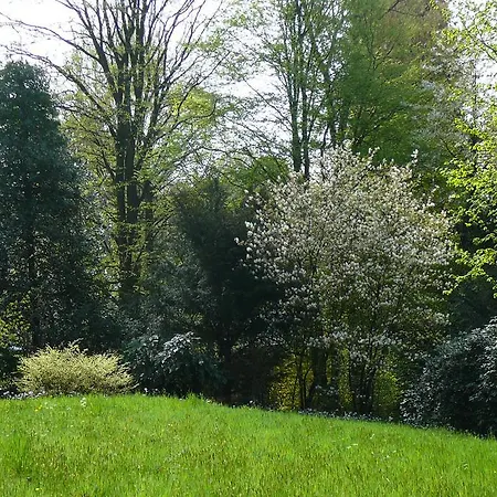 Am Krippenhof Apartment