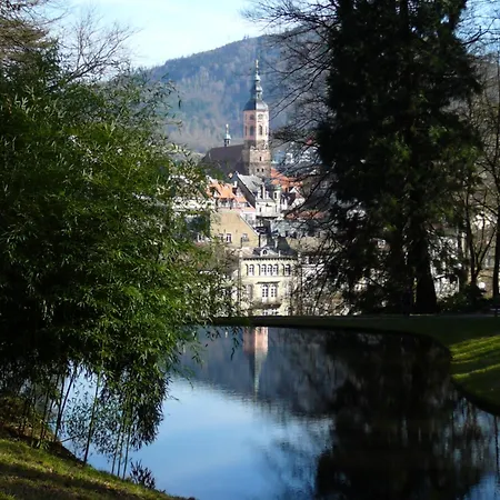 Am Krippenhof Apartment Baden-Baden
