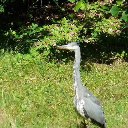 דירה Am Krippenhof באדן-באדן