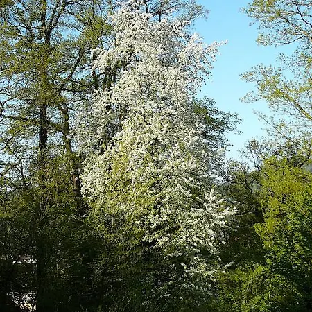 Apartment Am Krippenhof *