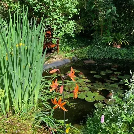 Am Krippenhof Apartment *