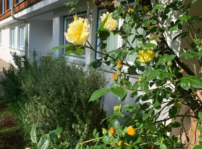 Lejlighed Am Krippenhof *