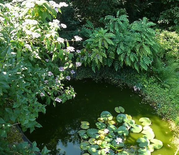 Am Krippenhof Lejlighed *