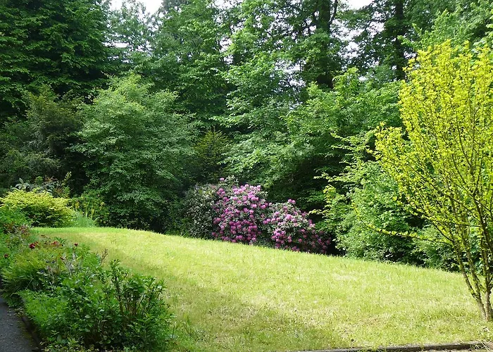 Lejlighed Am Krippenhof Baden-Baden