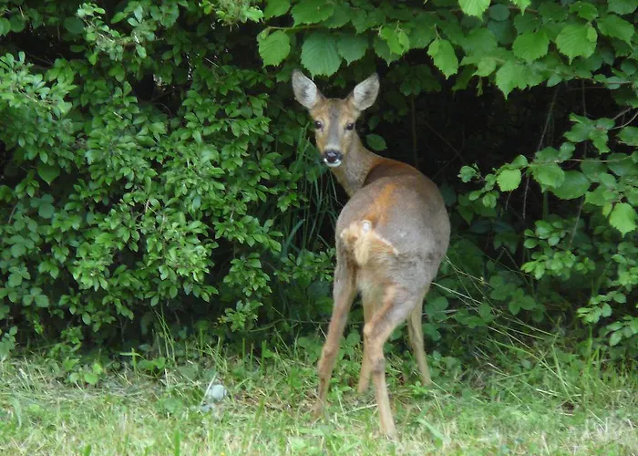 Am Krippenhof Lejlighed *