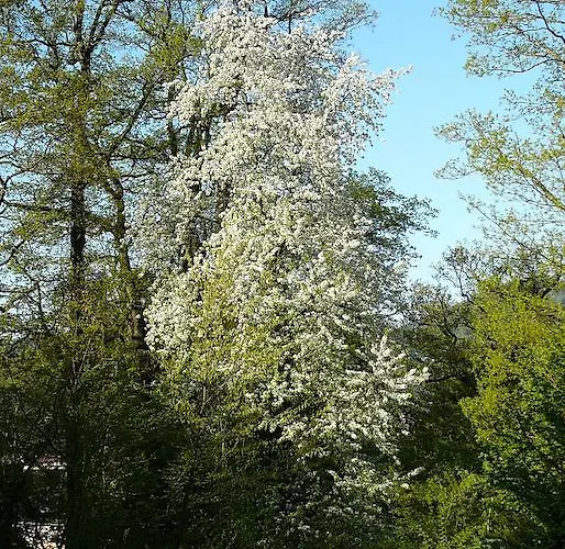 Lejlighed Am Krippenhof *